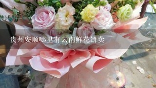 贵州安顺哪里有云南鲜花饼卖