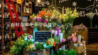 云南鲜花哪个季节最便宜