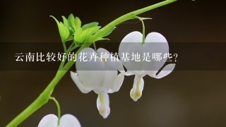 云南比较好的花卉种植基地是哪些？