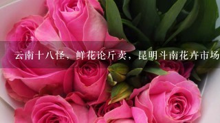 云南十8怪，鲜花论斤卖，昆明斗南花卉市场卖鲜花犹