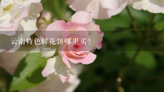 云南特色鲜花饼哪里买？