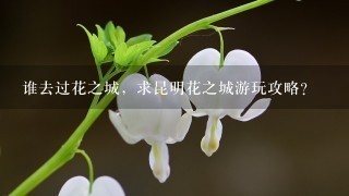 谁去过花之城，求昆明花之城游玩攻略？