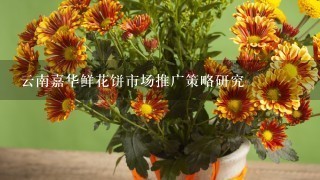 云南嘉华鲜花饼市场推广策略研究