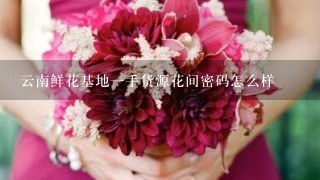 云南鲜花基地1手货源花间密码怎么样