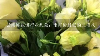 云南鲜花饼行业乱象：出厂价最低的3毛81个！影响