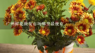 广州鲜花批发市场哪里最便宜