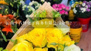 云南十8怪电子商务有限公司介绍？