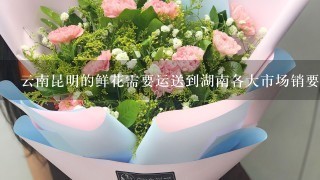 云南昆明的鲜花需要运送到湖南各大市场销要选择哪种交通公具并说明原因