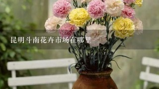 昆明斗南花卉市场在哪里