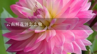 云南鲜花饼怎么做