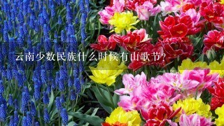 云南少数民族什么时候有山歌节？