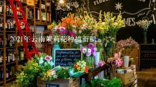 2021年云南茉莉花种植面积