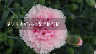 昆明斗南鲜花批发价格行情