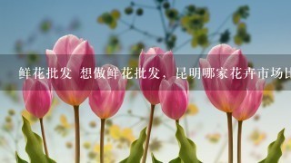 鲜花批发 想做鲜花批发，昆明哪家花卉市场比较好？