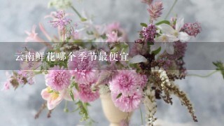 云南鲜花哪个季节最便宜