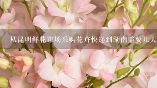 从昆明鲜花市场采购花卉快递到湖南需要几天时间？