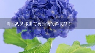 请问武汉那里有卖云南的鲜花饼？