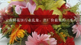 云南鲜花饼行业乱象：出厂价最低的3毛81个！影响