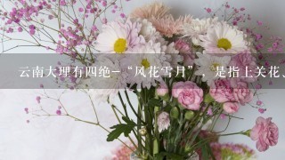 云南大理有4绝-“风花雪月”，是指上关花、苍山雪、洱海月和