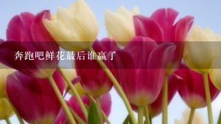 奔跑吧鲜花最后谁赢了