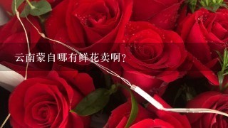 云南蒙自哪有鲜花卖啊？