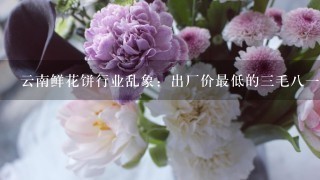 云南鲜花饼行业乱象：出厂价最低的3毛81个！影响