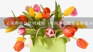 云南的省会昆明城市1年4季温暖如春鲜花不断人们常用诗句来形容美丽的城市这