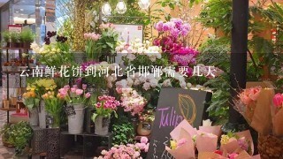 云南鲜花饼到河北省邯郸需要几天