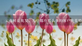 云南鲜花批发，为啥都有那么多的客户在花精灵花卉批发进货呢