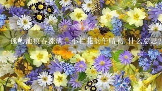 孤屿池痕春涨满，小栏花韵午晴初 什么意思?