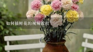 如何插鲜花的视频教程