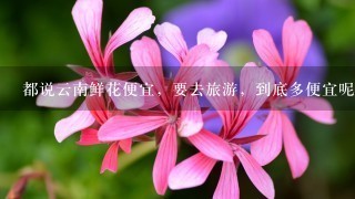 都说云南鲜花便宜，要去旅游，到底多便宜呢？方便携带吗