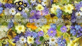 QQ飞车中如何获得鲜花，向别人表示心动