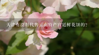 天津有没有代售云南特产宫廷鲜花饼的？