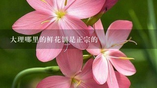 大理哪里的鲜花饼是正宗的