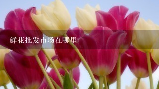 鲜花批发市场在哪里