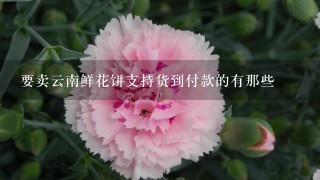 要卖云南鲜花饼支持货到付款的有那些