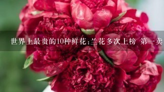 世界上最贵的10种鲜花:兰花多次上榜 第1卖出2695万