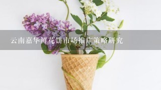 云南嘉华鲜花饼市场推广策略研究