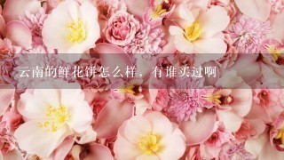 云南的鲜花饼怎么样，有谁买过啊