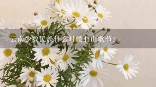 云南少数民族什么时候有山歌节？