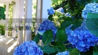 云南花椒鸡做法？