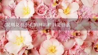 昆明花拍中心的网站栏目是什么