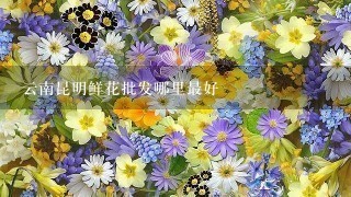 云南昆明鲜花批发哪里最好