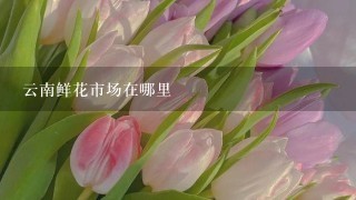 云南鲜花市场在哪里