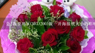 急!我要用WORD2003做1开海报纸大小的彩喷，怎样调页面大小?