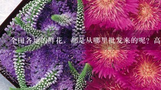 全国各地的鲜花，都是从哪里批发来的呢？高档花卉，