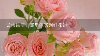 云南昆明，那里能买到鲜花饼