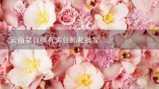 云南蒙自哪有买包鲜花批发