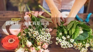 民歌好1朵茉莉花简谱